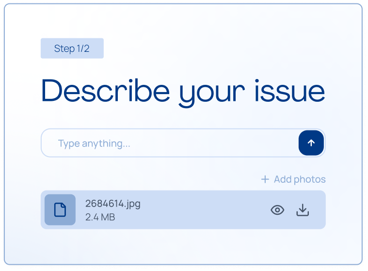 LintelAI describe your issue form